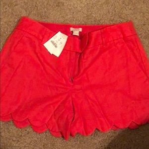 Size 2 J Crew shorts (Never Worn!!)